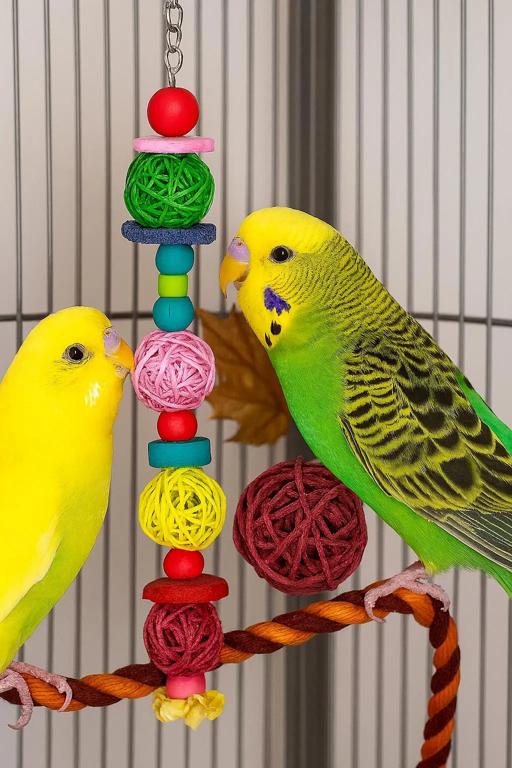 Floral Forage Cascade – A Colourful Sensory Toy for Happy Beaks