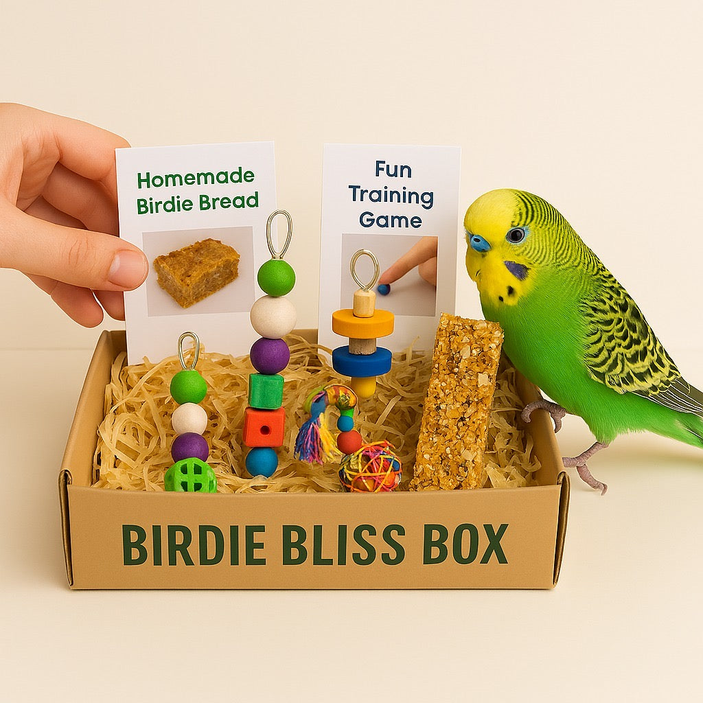 🎁 Birdie Bliss Box Gift Bundles – Thoughtful Joy for Feathered Friends