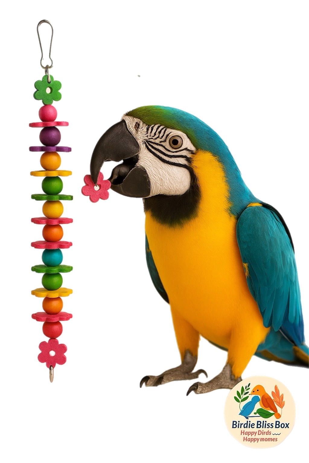 Medium & Large Bird Toys