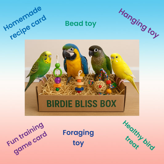 🐥 Small Birdie Bliss Box – Big Joy in a Petite Package