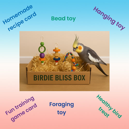 🐦 Medium Birdie Bliss Box – Joy in Every Peck