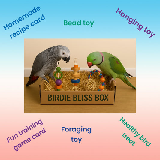 🦜 Birdie Bliss Large Box – Enrichment Elevated