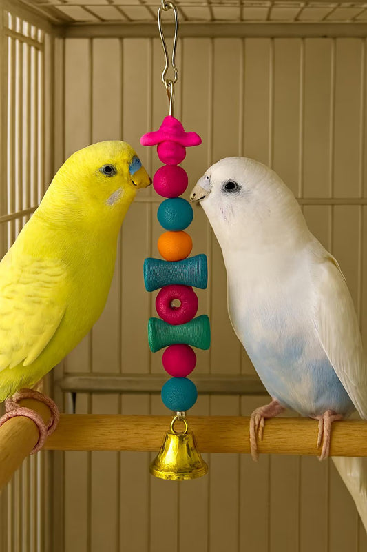 Hanging Bead Bell Bird Toy – Colourful Enrichment for Budgies & Small Parrots