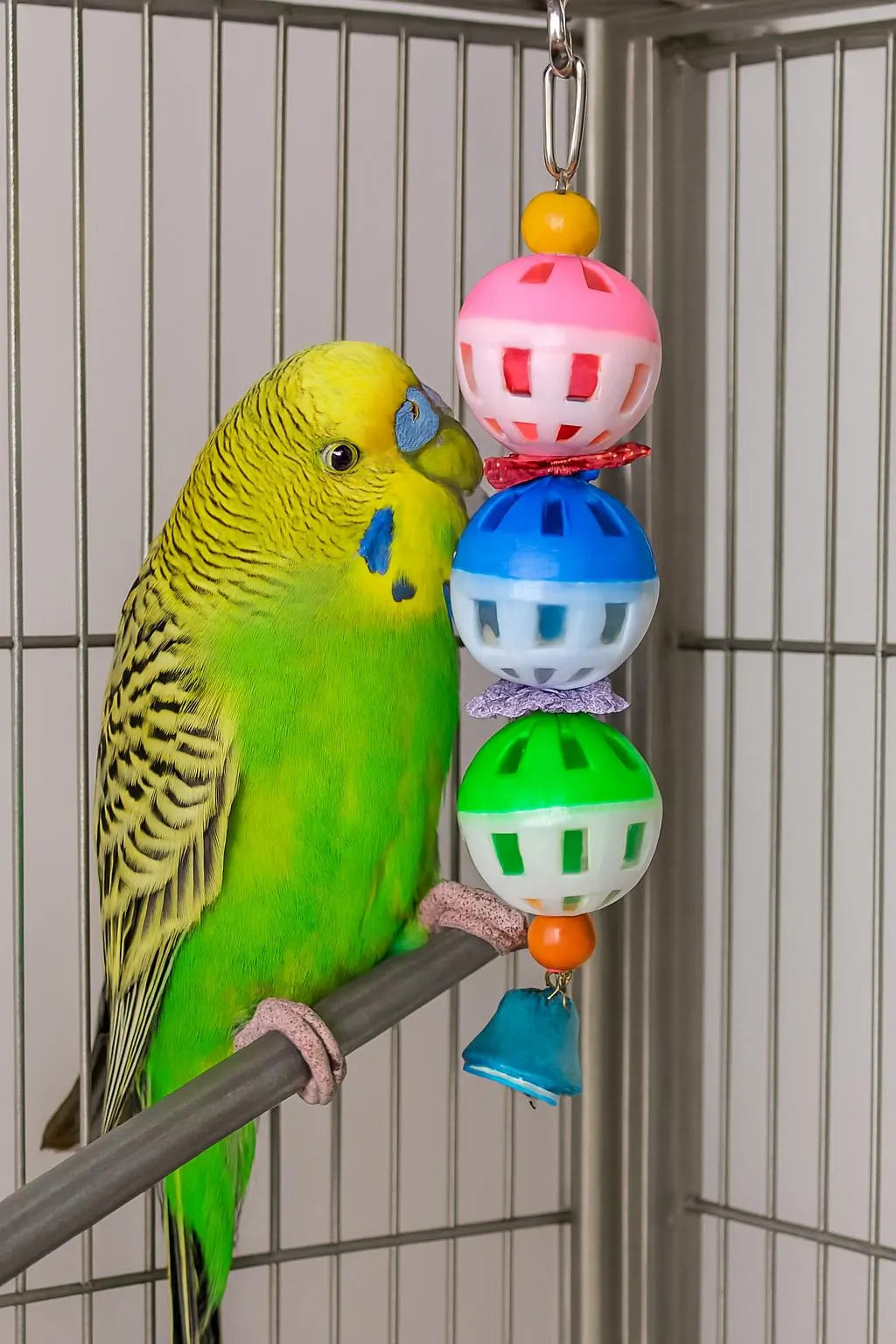 Jingle Ball Cascade – A Colourful Hanging Toy for Chirpy Companions