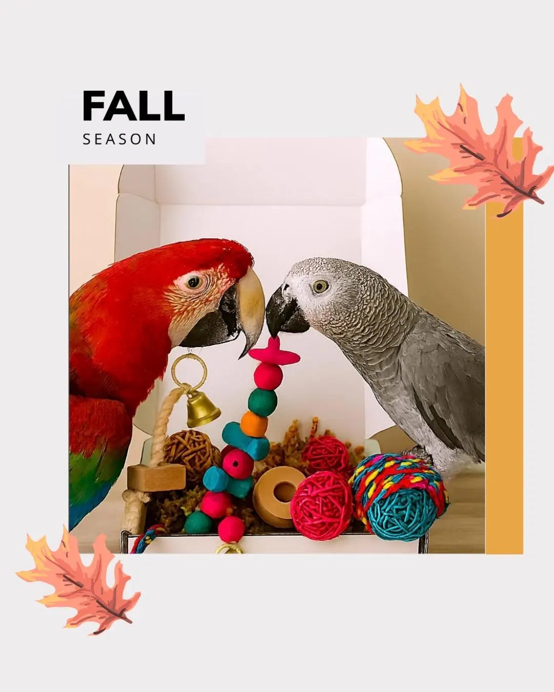 Large Birdie Bliss Box – Big Enrichment for Big Personalities