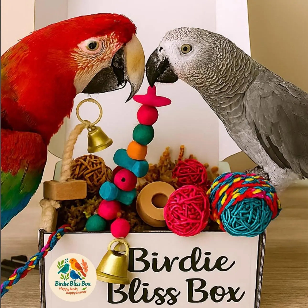 Large Birdie Bliss Box – Big Enrichment for Big Personalities