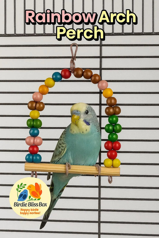 Rainbow Arch Perch – Handmade Bird Perch by Birdie Bliss Box