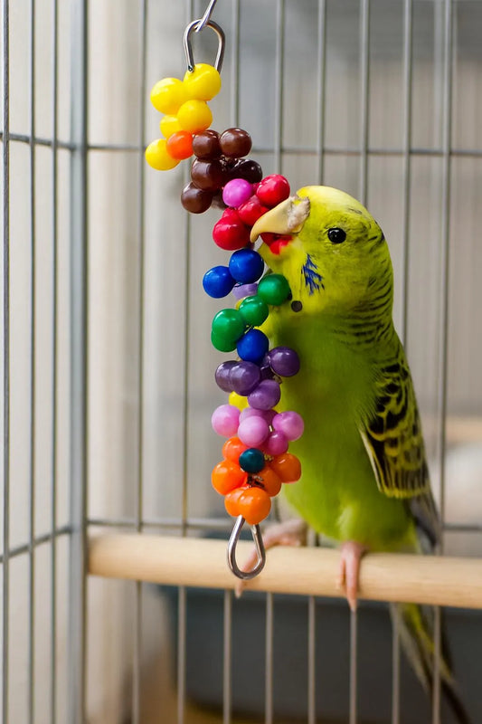 Rainbow Bead Cluster Bird Toy – Colourful Hanging Enrichment for Small Birds