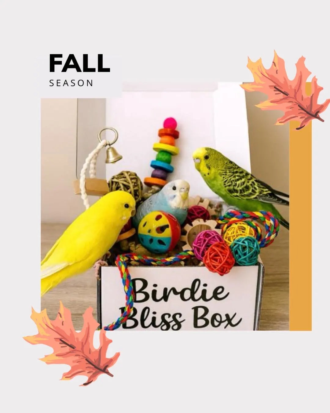 Small Bird Toy Box: Enrichment Toys & Treats for Budgies